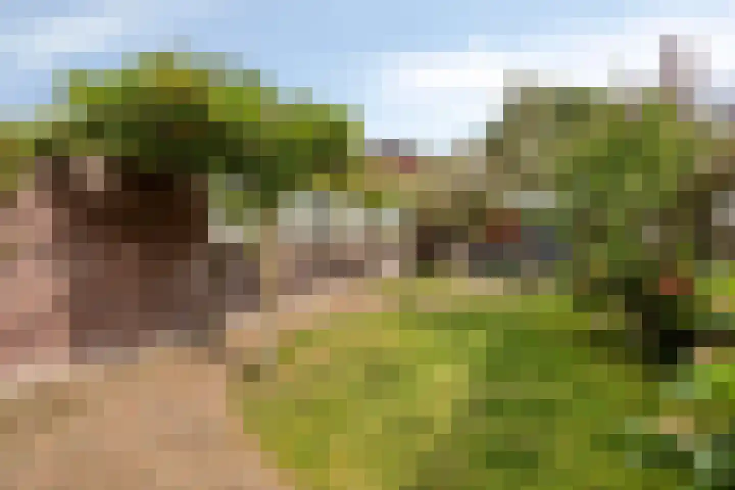 Zanddreef 136 Eindhoven thumbnail 15