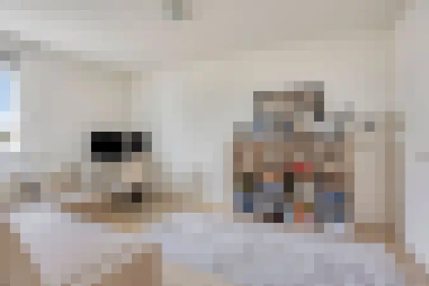 Zanddreef 136 Eindhoven thumbnail 21