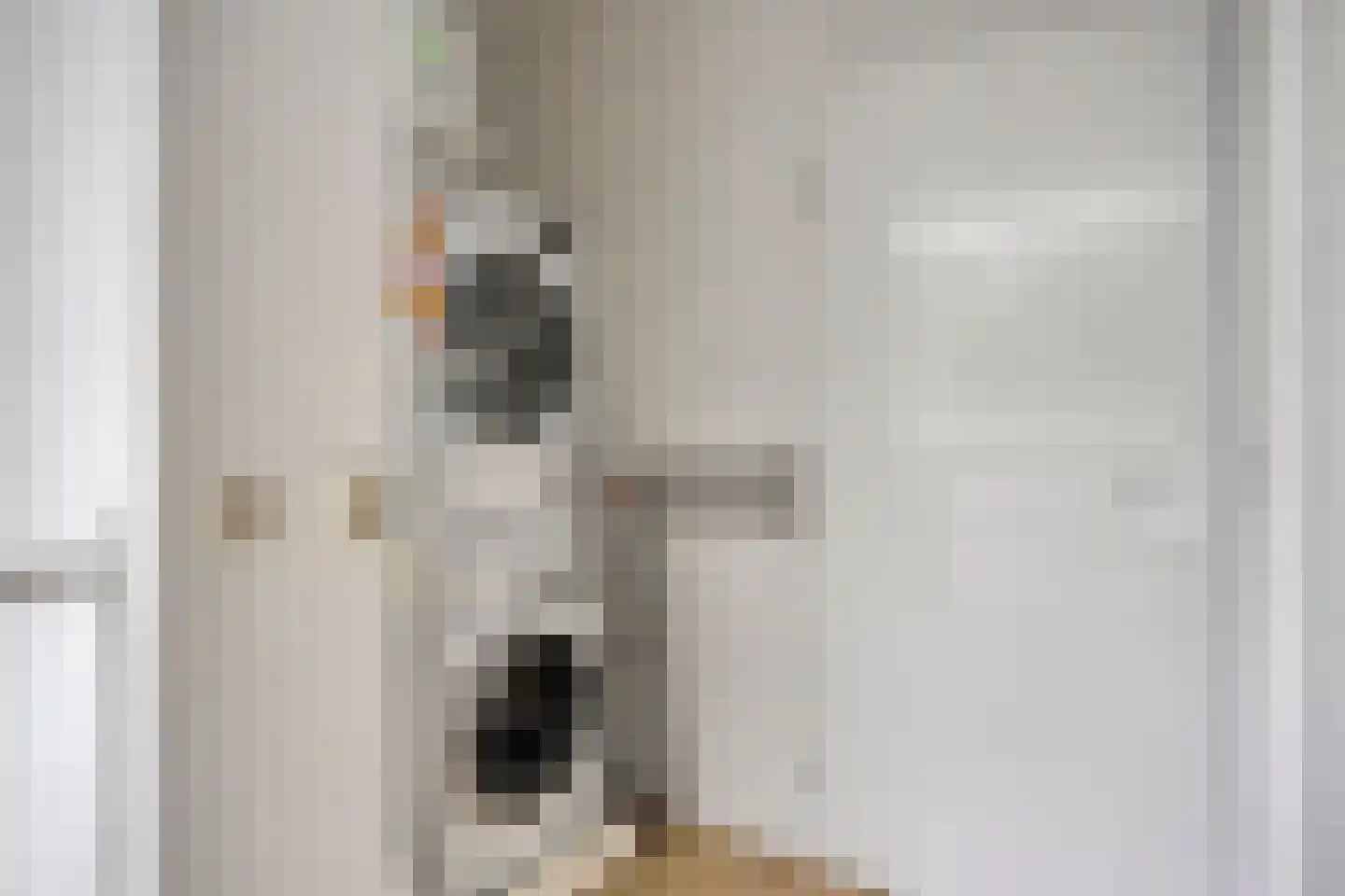 Zanddreef 136 Eindhoven thumbnail 30