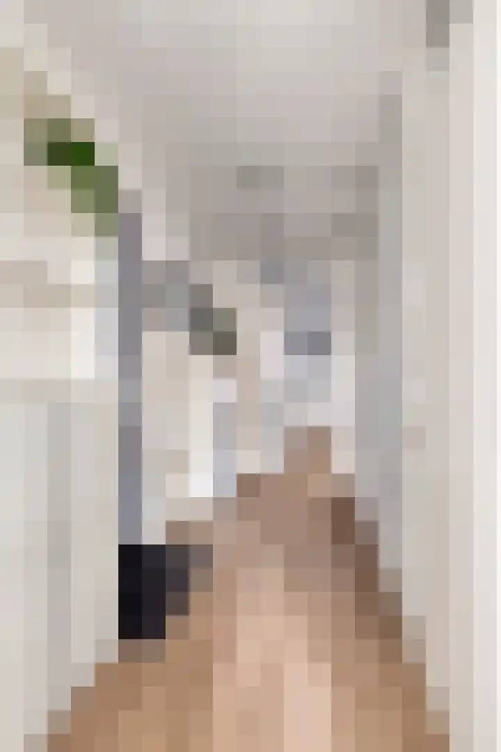 Zanddreef 14 Eindhoven thumbnail 12
