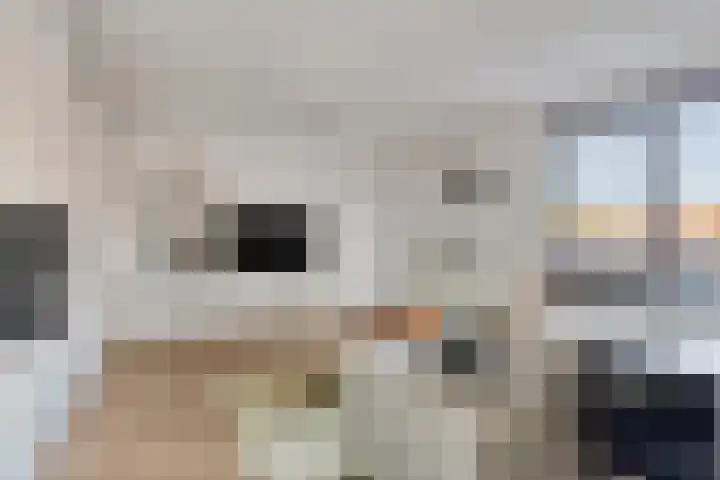 Zanddreef 14 Eindhoven thumbnail 14