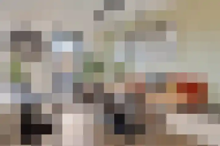 Zanddreef 14 Eindhoven thumbnail 16