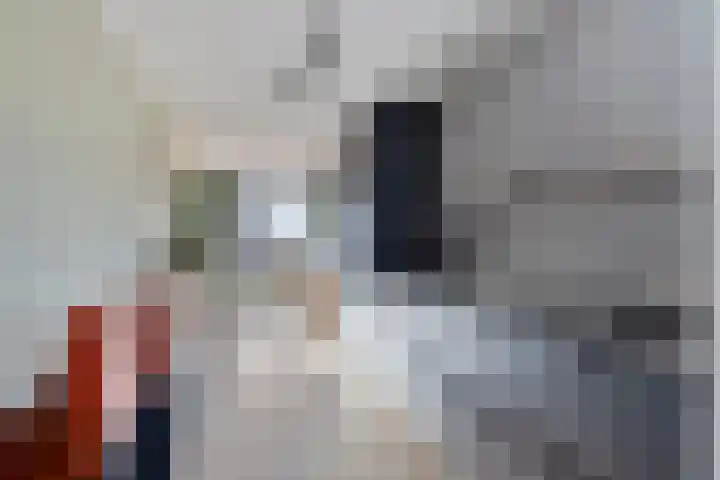 Zanddreef 14 Eindhoven thumbnail 19