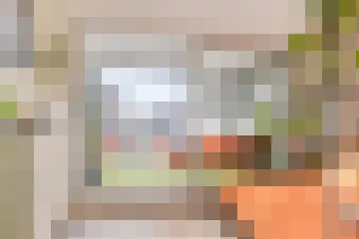 Zanddreef 14 Eindhoven thumbnail 21