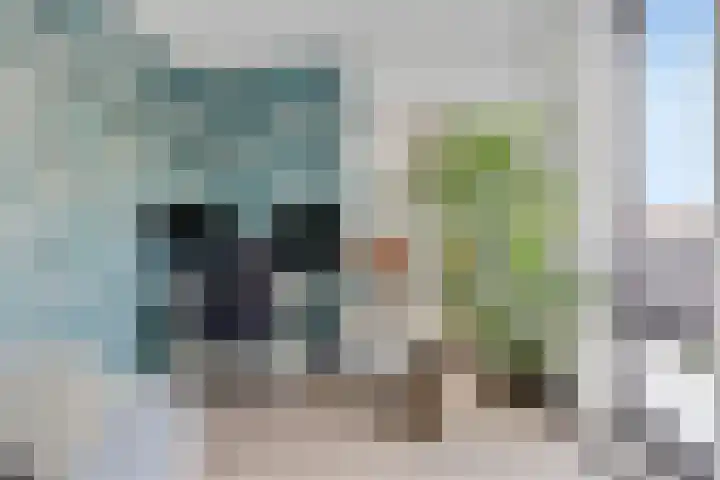 Zanddreef 14 Eindhoven thumbnail 23
