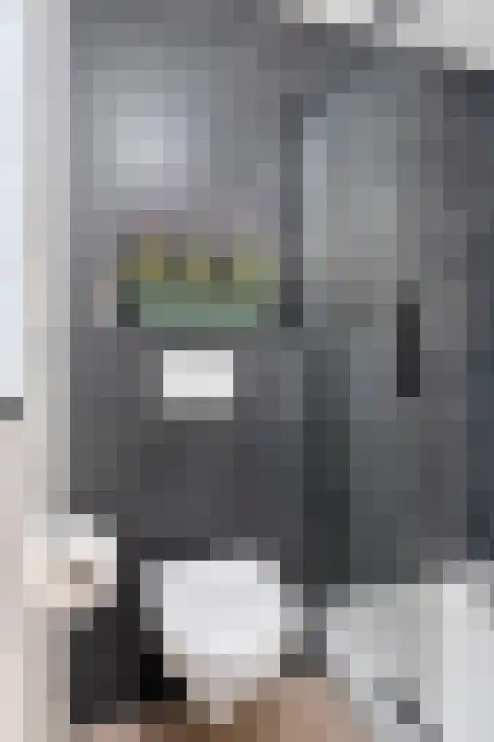 Zanddreef 14 Eindhoven thumbnail 32