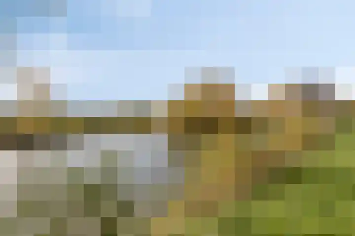 Zanddreef 14 Eindhoven thumbnail 37