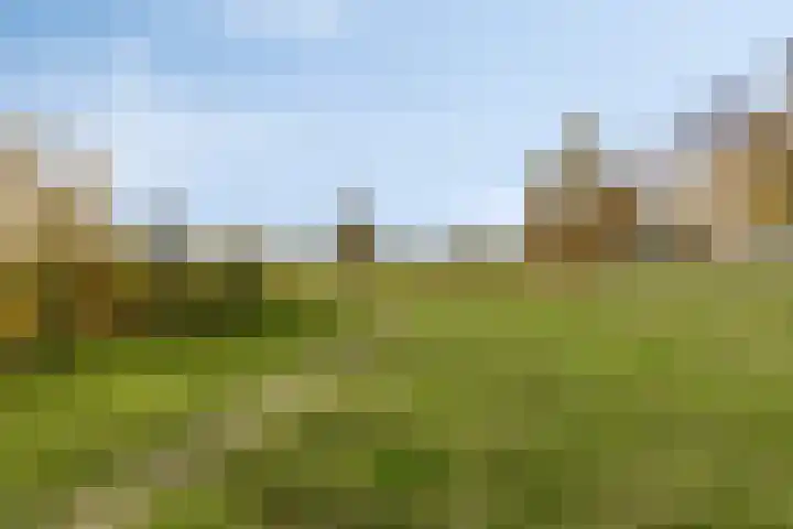 Zanddreef 14 Eindhoven thumbnail 38