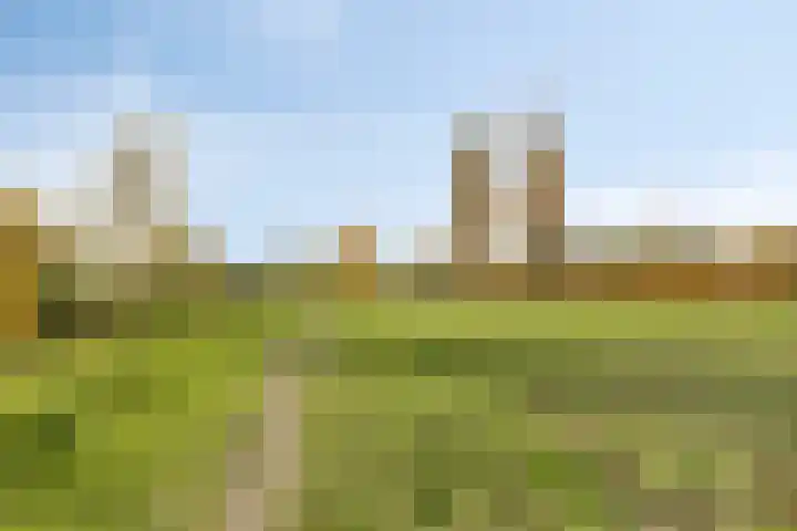 Zanddreef 14 Eindhoven thumbnail 39
