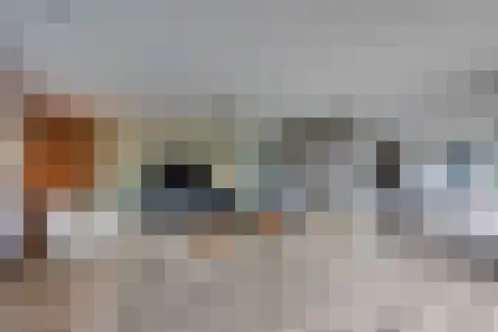 Zanddreef 17 Prinsenbeek thumbnail 11
