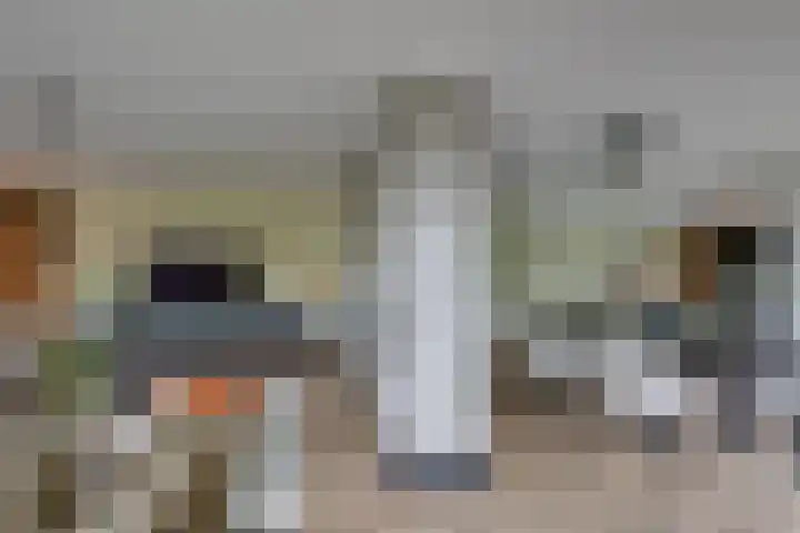 Zanddreef 17 Prinsenbeek thumbnail 12