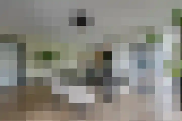 Zanddreef 17 Prinsenbeek thumbnail 13