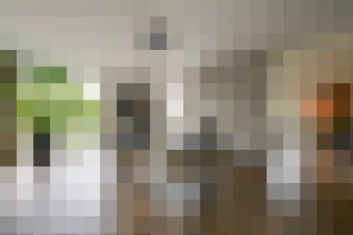 Zanddreef 17 Prinsenbeek thumbnail 14
