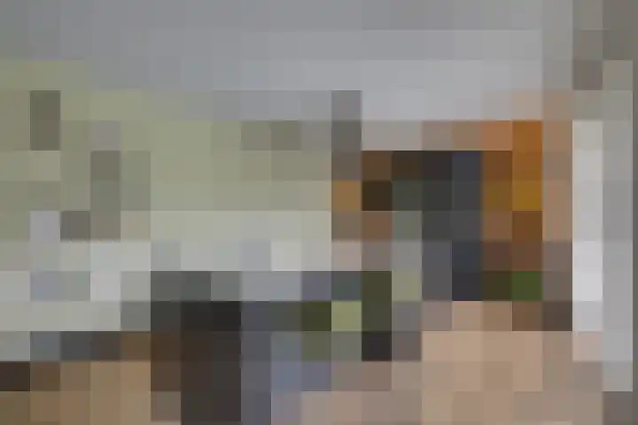 Zanddreef 17 Prinsenbeek thumbnail 15
