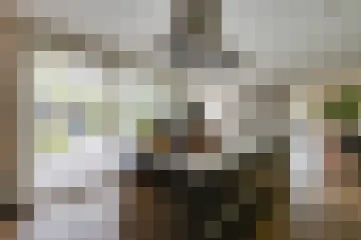 Zanddreef 17 Prinsenbeek thumbnail 16