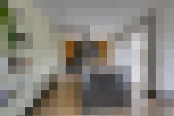 Zanddreef 17 Prinsenbeek thumbnail 17