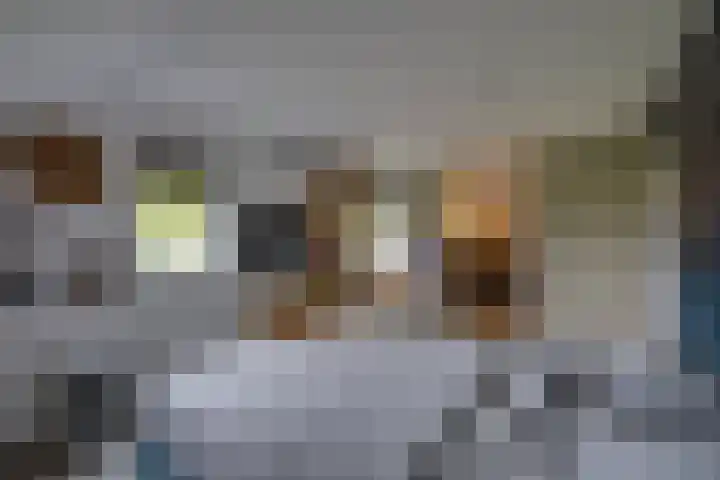 Zanddreef 17 Prinsenbeek thumbnail 21