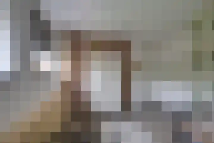 Zanddreef 17 Prinsenbeek thumbnail 24