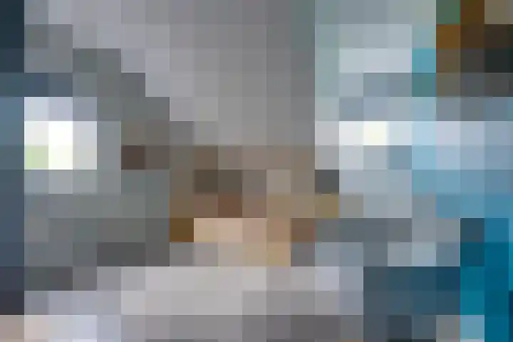 Zanddreef 17 Prinsenbeek thumbnail 25