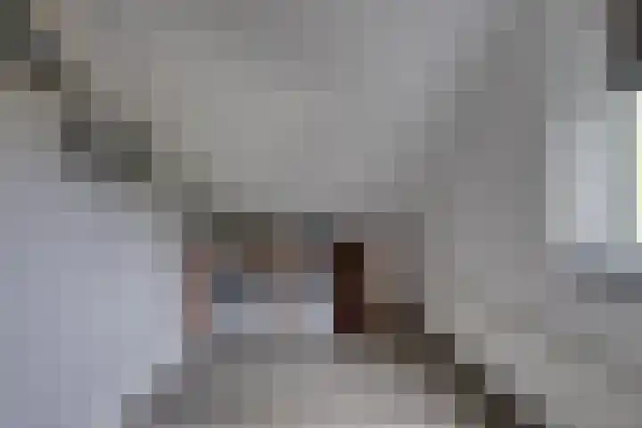 Zanddreef 17 Prinsenbeek thumbnail 31