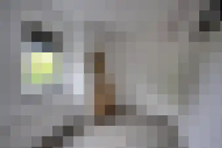 Zanddreef 17 Prinsenbeek thumbnail 32