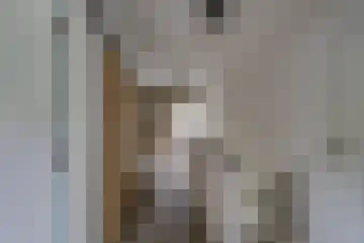 Zanddreef 17 Prinsenbeek thumbnail 34