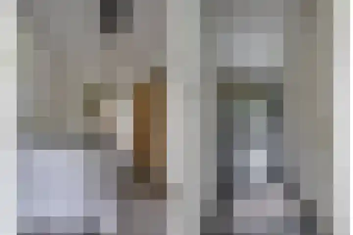 Zanddreef 17 Prinsenbeek thumbnail 35