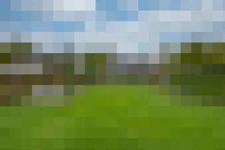 Zanddreef 17 Prinsenbeek thumbnail 36