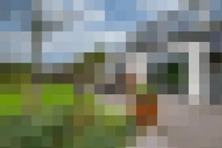 Zanddreef 17 Prinsenbeek thumbnail 37