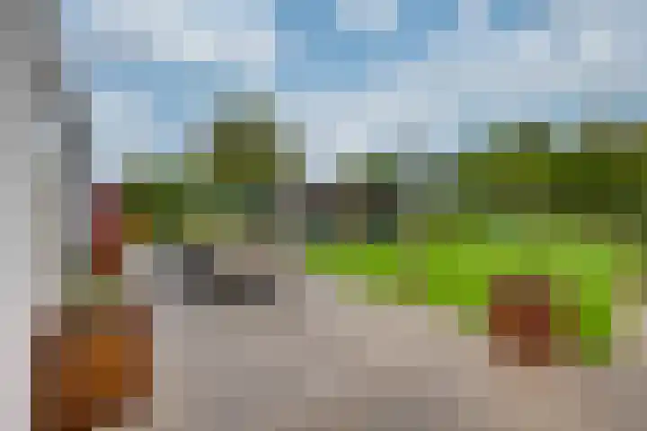 Zanddreef 17 Prinsenbeek thumbnail 38
