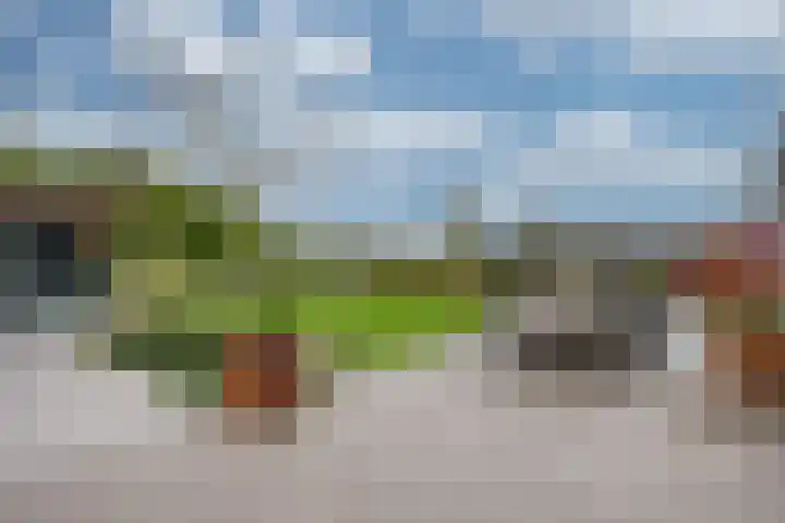 Zanddreef 17 Prinsenbeek thumbnail 39