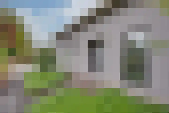 Zanddreef 17 Prinsenbeek thumbnail 4