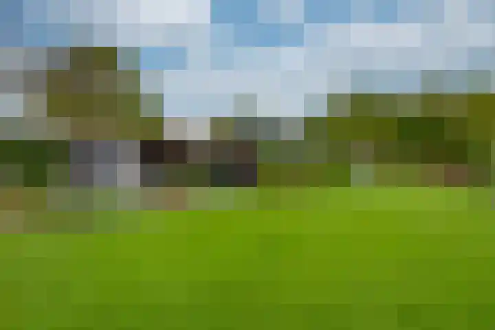 Zanddreef 17 Prinsenbeek thumbnail 41