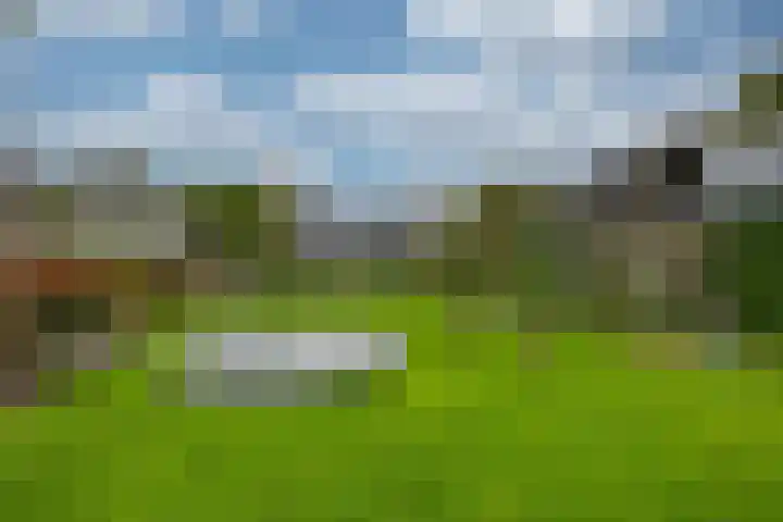 Zanddreef 17 Prinsenbeek thumbnail 44