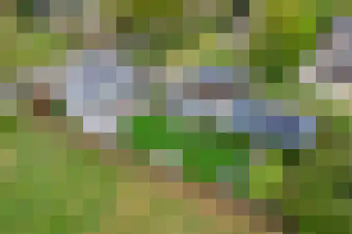 Zanddreef 17 Prinsenbeek thumbnail 49