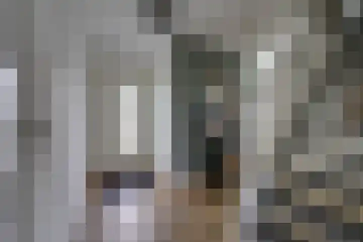 Zanddreef 17 Prinsenbeek thumbnail 5