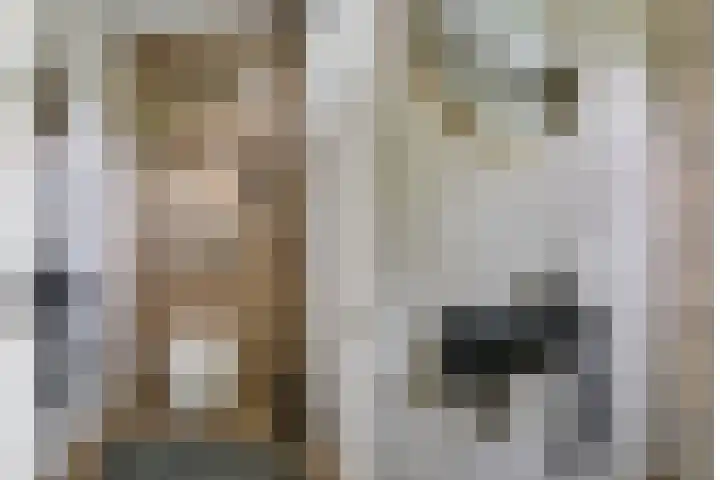 Zanddreef 17 Prinsenbeek thumbnail 6