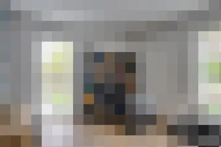 Zanddreef 17 Prinsenbeek thumbnail 7