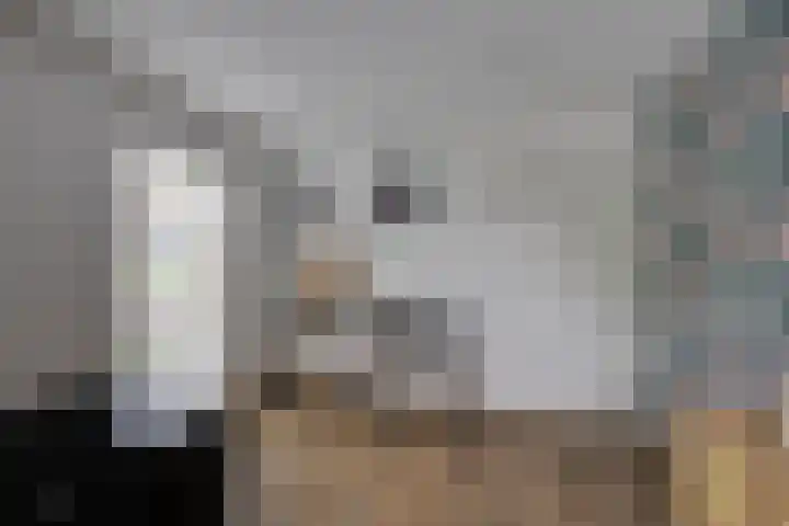 Zanddreef 17 Prinsenbeek thumbnail 8