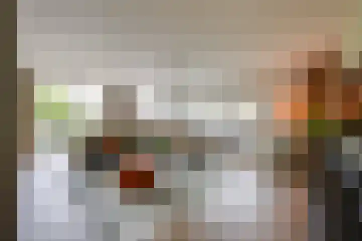 Zanddreef 17 Prinsenbeek thumbnail 9