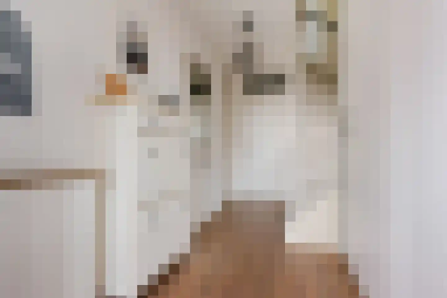 Zanddreef 30 Eindhoven thumbnail 18