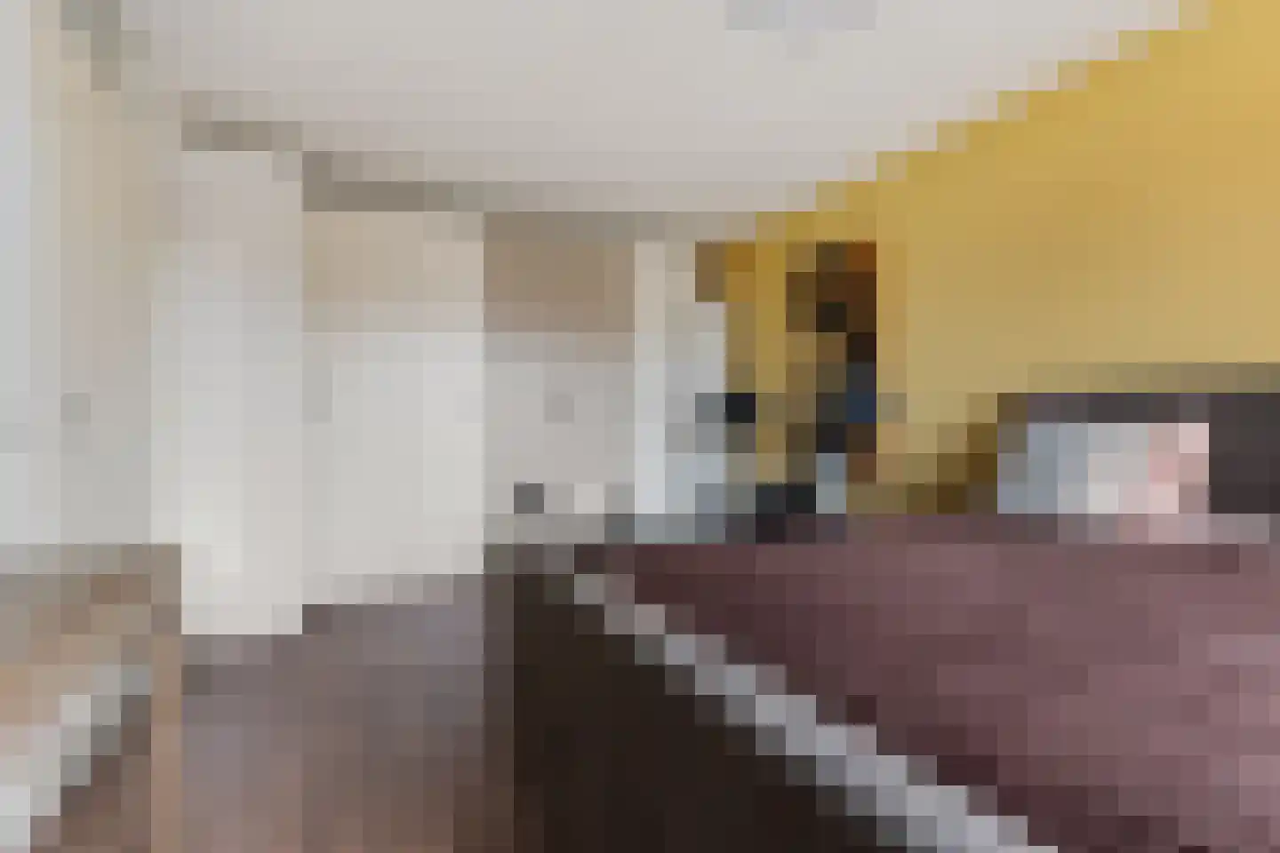 Zanddreef 30 Eindhoven thumbnail 21