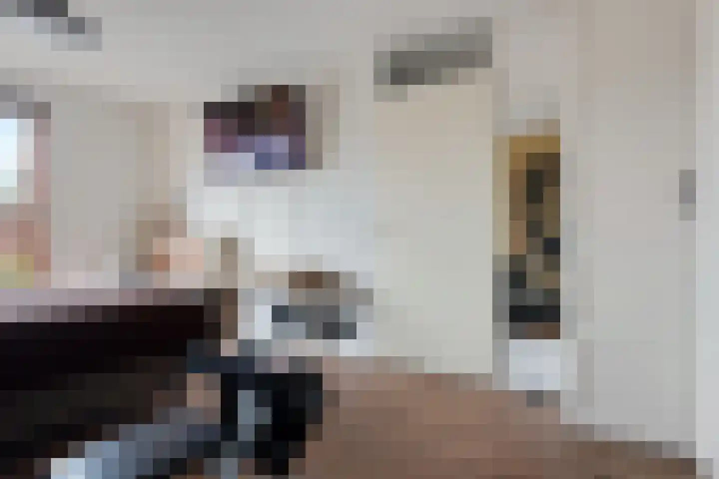 Zanddreef 30 Eindhoven thumbnail 22