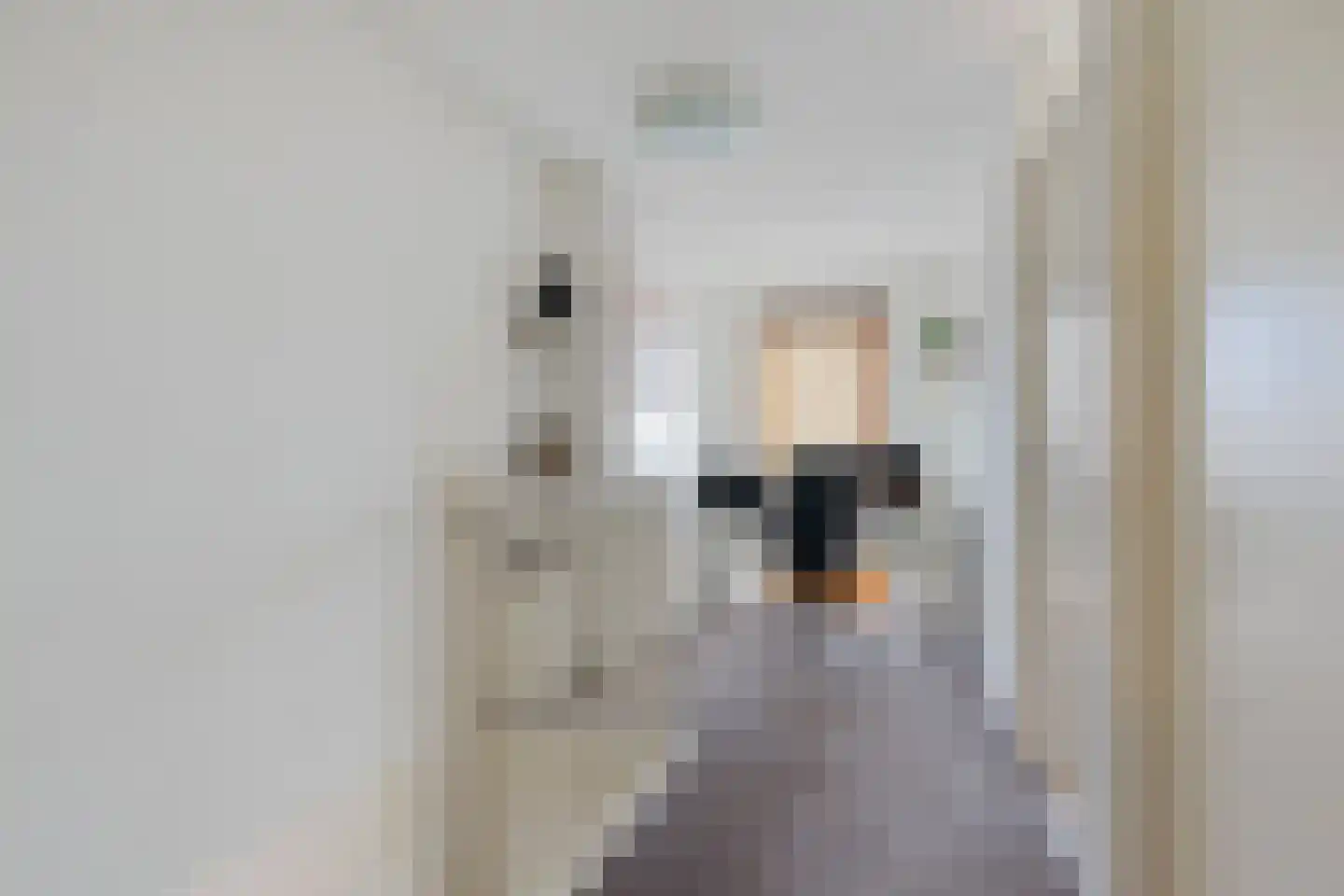 Zanddreef 30 Eindhoven thumbnail 26