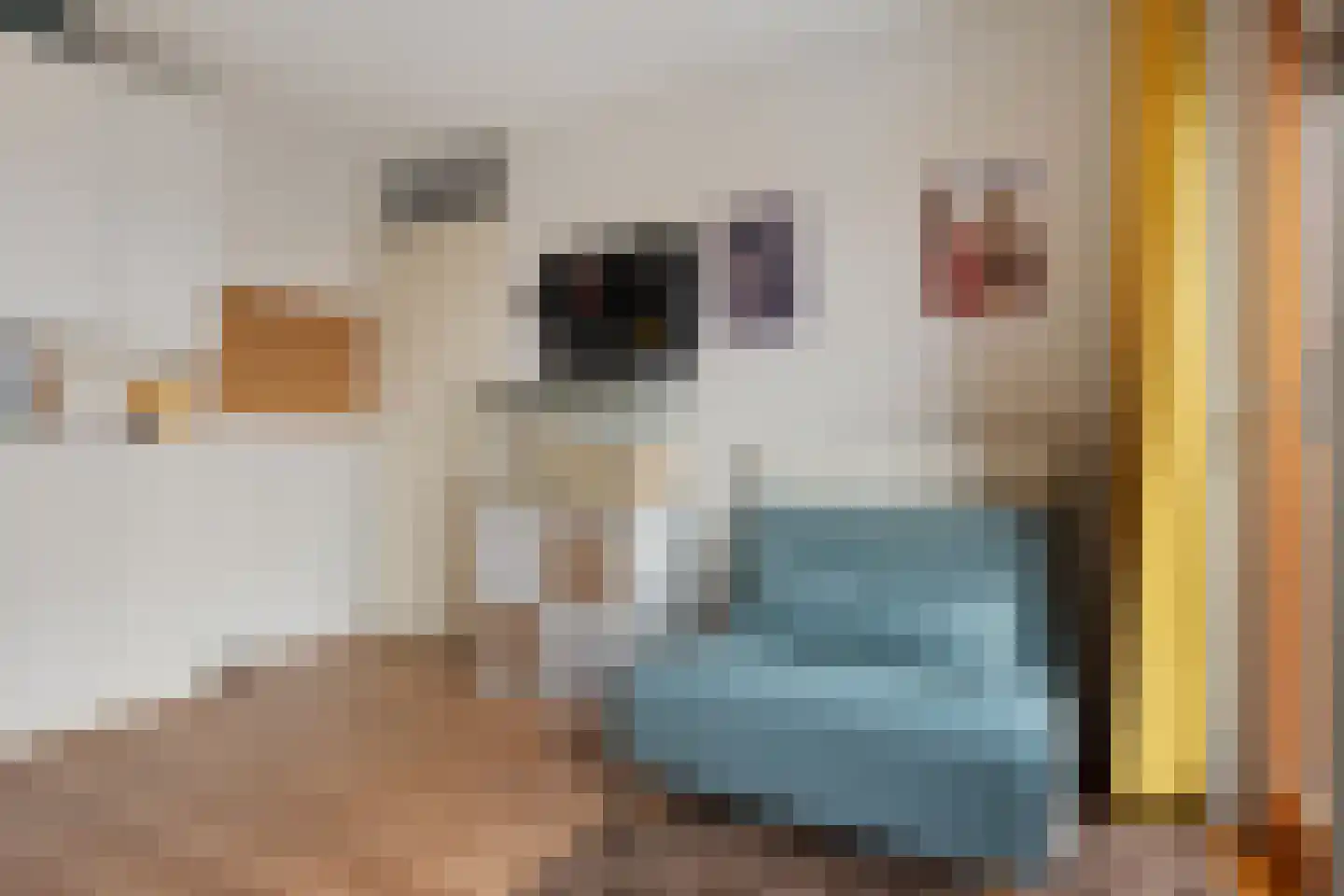 Zanddreef 30 Eindhoven thumbnail 29