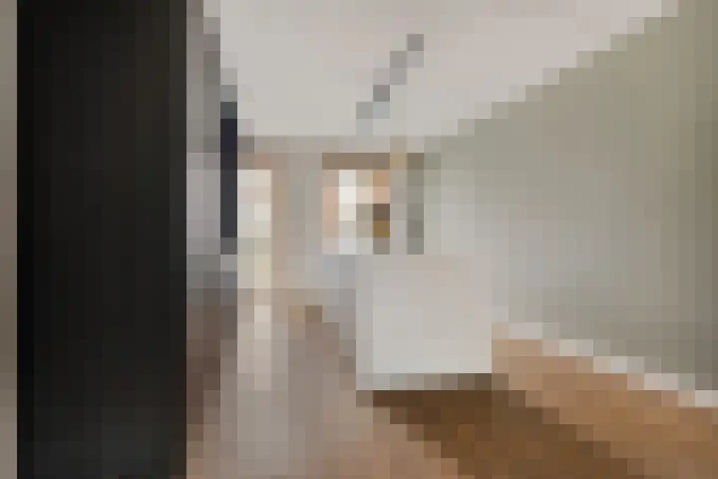 Zanddreef 30 Eindhoven thumbnail 7