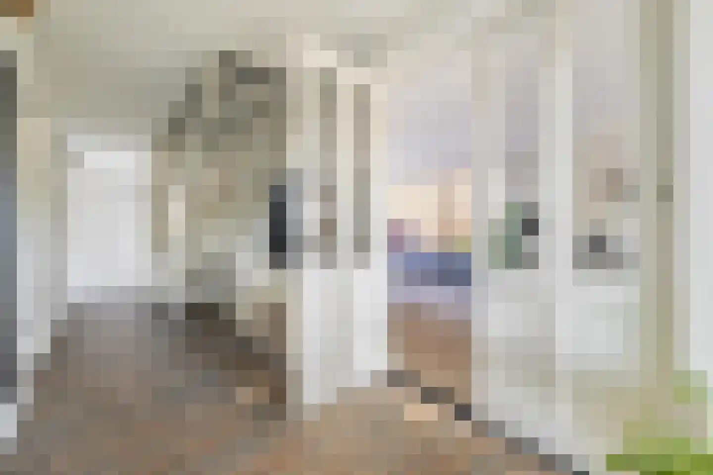 Zanddreef 36 Prinsenbeek thumbnail 13