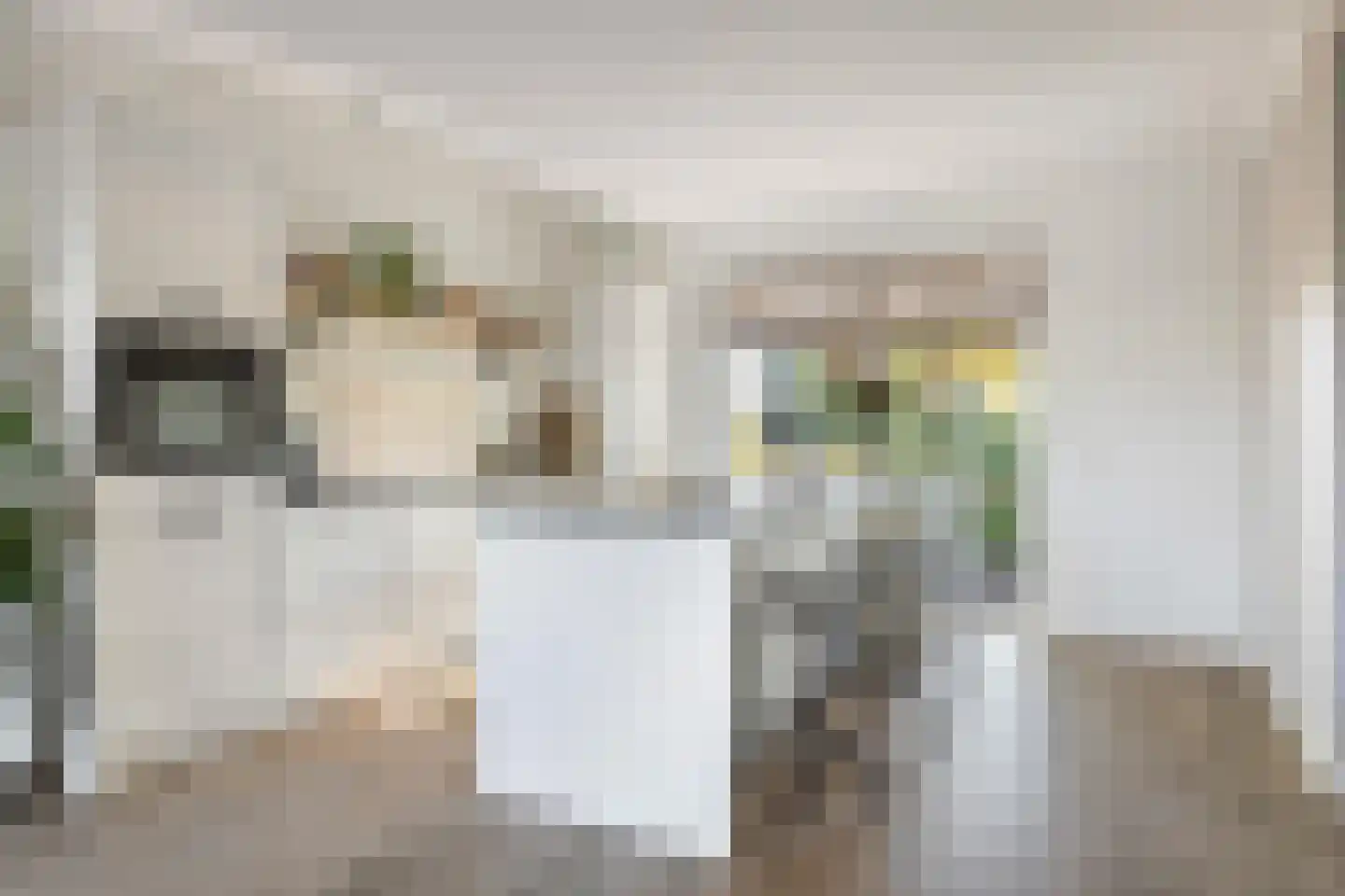 Zanddreef 36 Prinsenbeek thumbnail 16