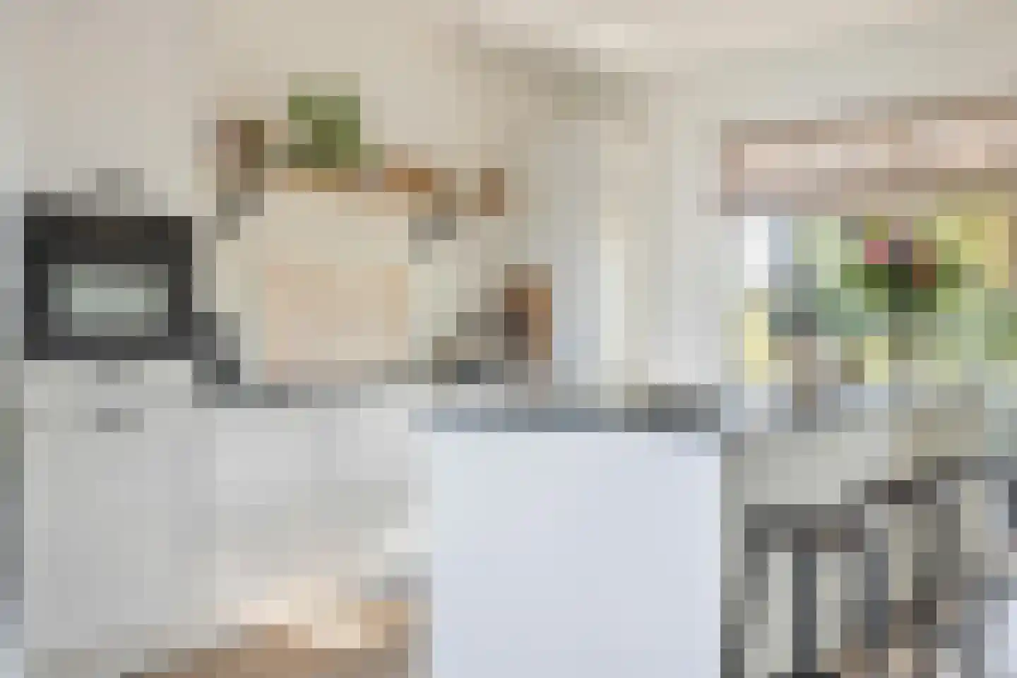 Zanddreef 36 Prinsenbeek thumbnail 17