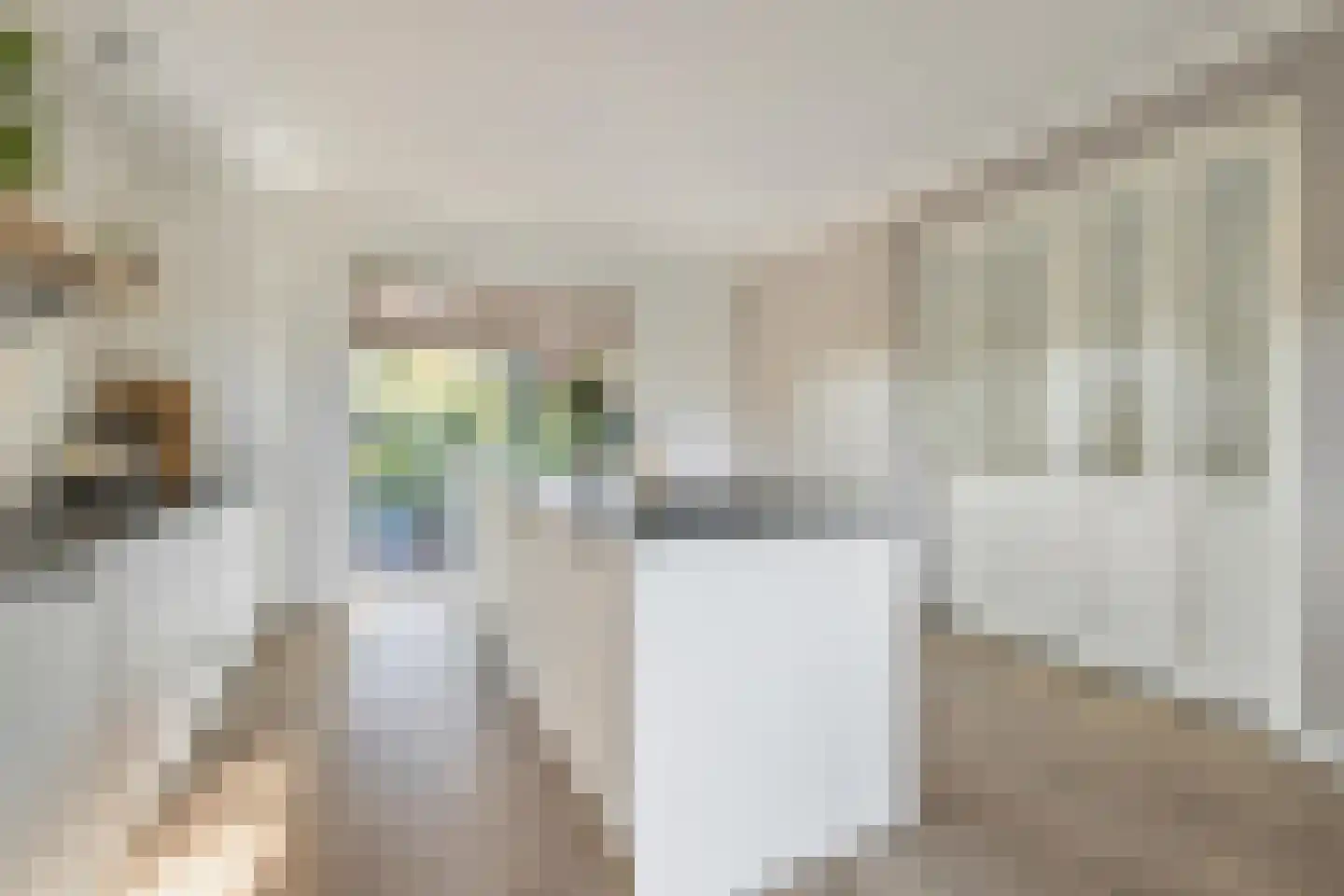 Zanddreef 36 Prinsenbeek thumbnail 19